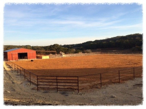 Visit Spring Creek Stables