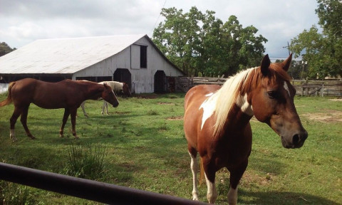 Visit Hebert Ranch