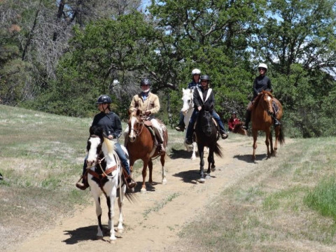 Visit Highland Springs Equestrian Center