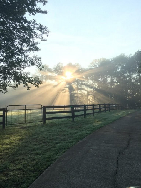 Visit Private Horse Boarding