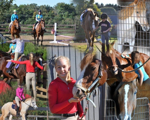 Visit Royal Oaks Equestrian