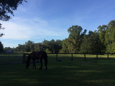 Visit Another Time Farm