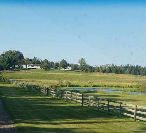 Visit Swan River Pastures Horse Ranch