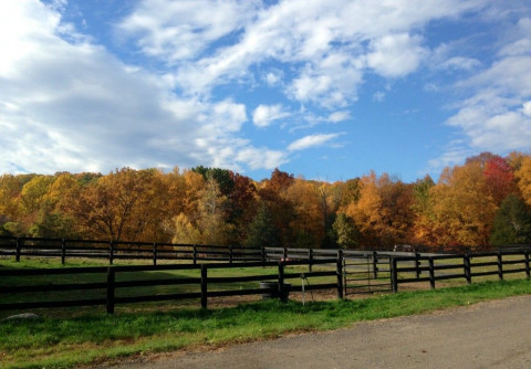 Visit Harmony View Farm - Beautiful Facility with a peaceful, casual environment