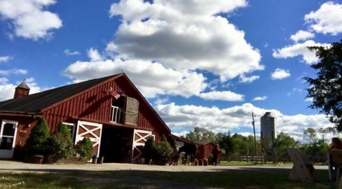 Visit Silver Eagle Stable