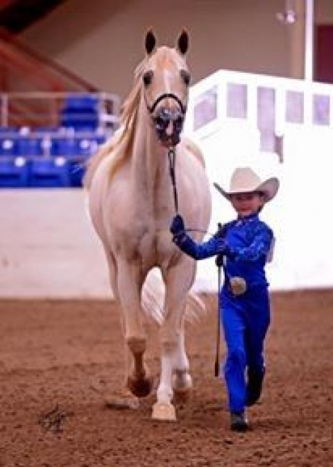 Visit Scottsdale Equestrian Academy, Inc.