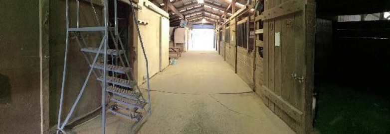Visit Coldwater Lake Stable