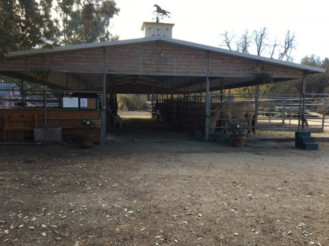 Visit Baron Ranch