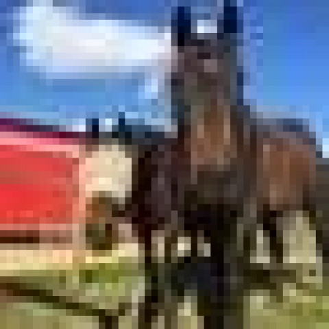 Visit Crum Park Farm