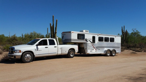 Visit Carrots Equine Transport