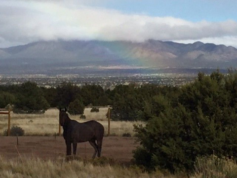 Visit Nizhoni Ranch and Stables