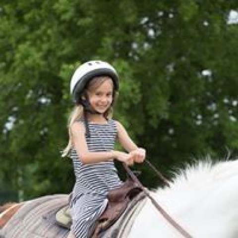 Visit Benbrook Stables