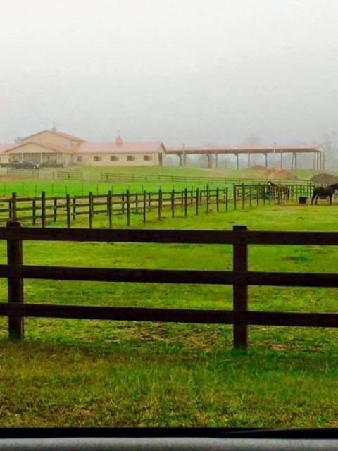 Visit Stables of Shiloh Farms