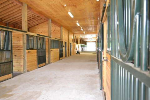 Visit Port City Equestrian