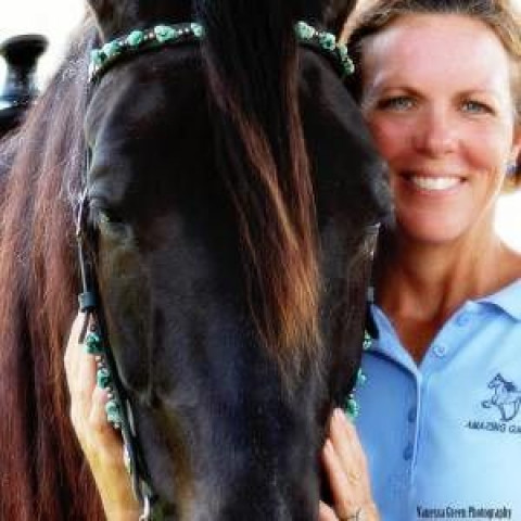 Visit Amazing Gaits Equestrian Center