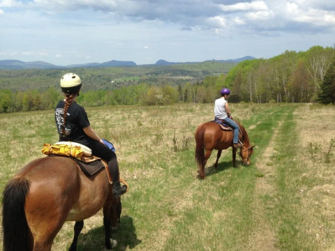 Visit Guided Trail Rides at D-N-D Stables