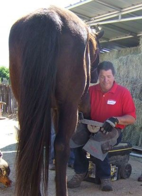 Visit James Welz, Barefoot Hoofcare Professional