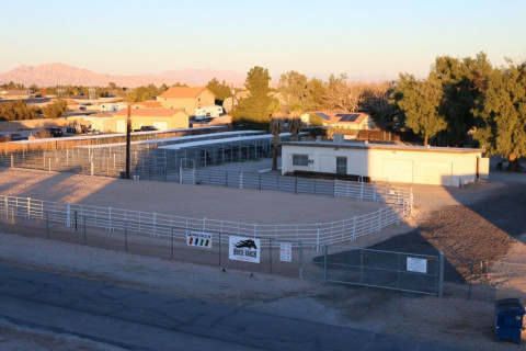 Visit Las Vegas Horse Ranch