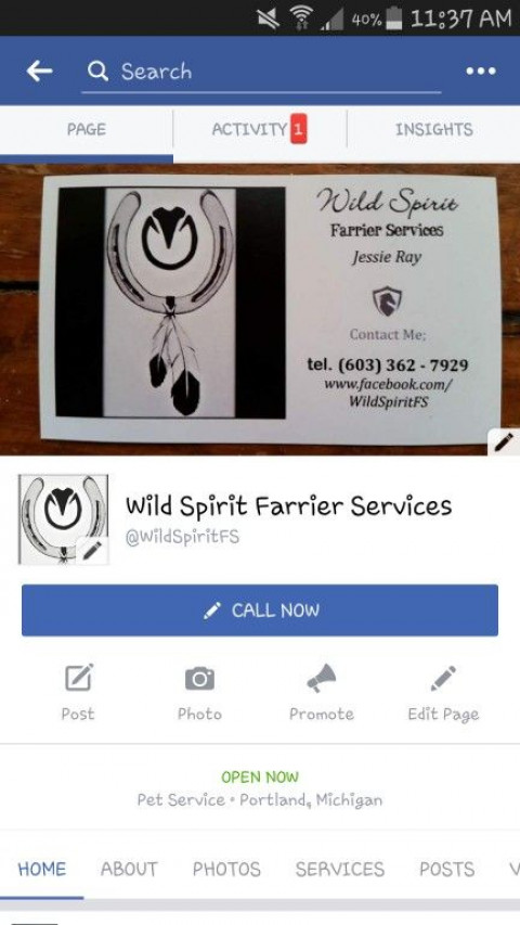 Visit Jessie Ray - Wild Spirit Farrier Services