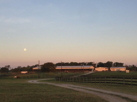 Visit CHH Equestrian Center