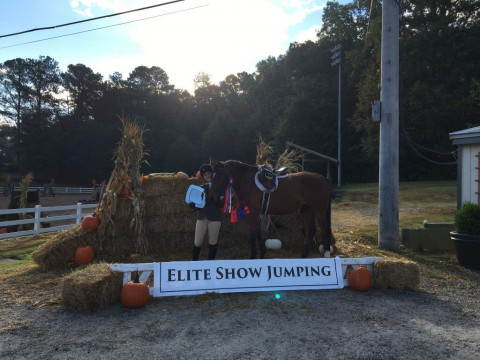 Visit Equestrian Training Center of Ocala