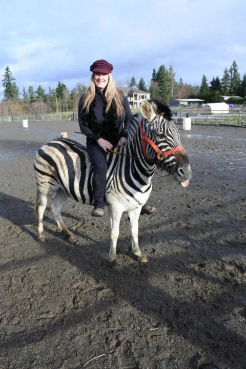 Visit Pony Tail Ranch Renton, Wa.