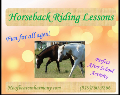 Visit Hoofbeats In Harmony