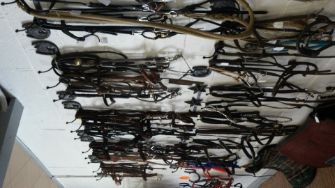 Visit Bridles and Bits Tack Shop