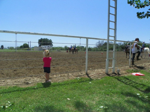 Visit Summerlan Ranch and Horse Boarding