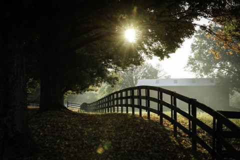 Visit Goshen Crest Farm