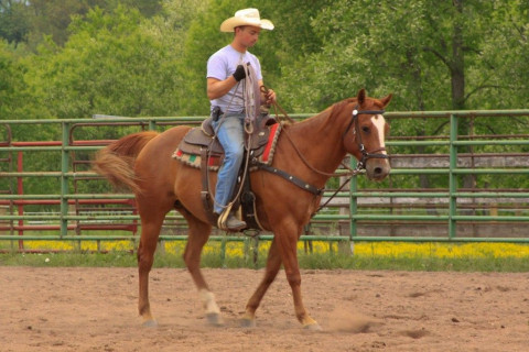 Visit Feather Hill Stables