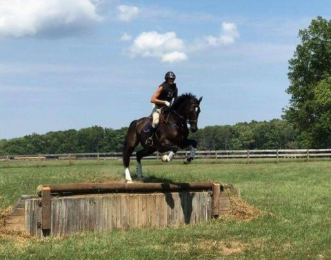 Visit Westbrook Horse Farm