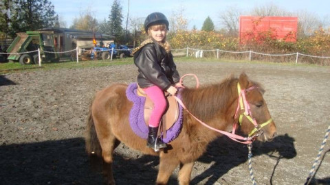 Visit Pony Paradise Rides horse camp