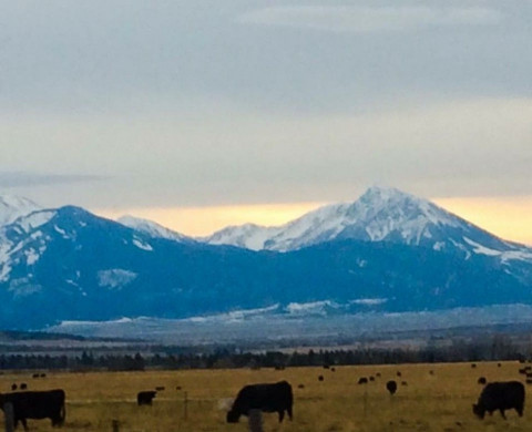 Visit M Bar Ranch