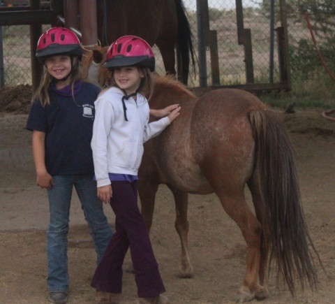 Visit Kingmans Healing Hooves Horsemanship 101 Camp