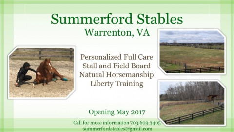 Visit Summerford Stables