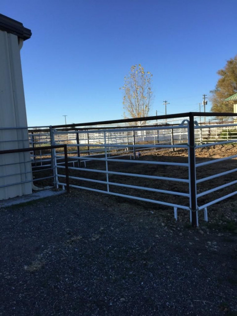 Visit Clever Creek Ranch