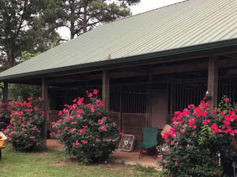 Visit Pinetree Stables