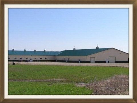 Visit Wyndem Rose Stables
