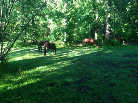 Visit Fox Hill Farm