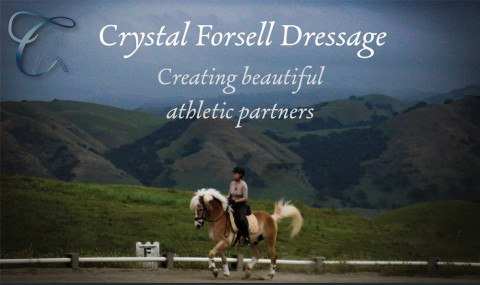 Visit Crystal Forsell