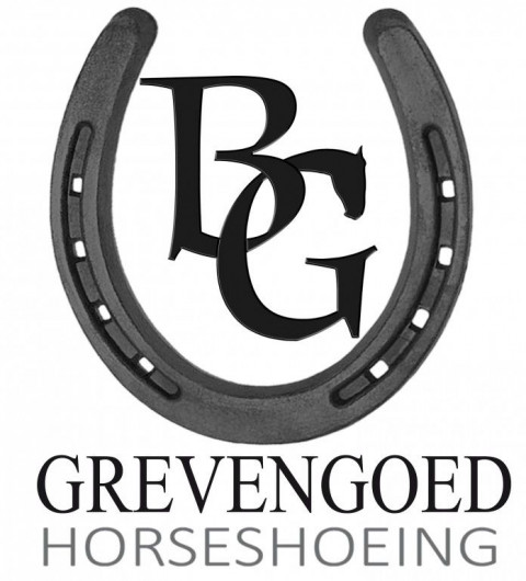 Visit Brad Grevengoed