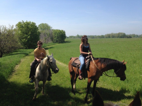 Visit Schwans Horse Ranch