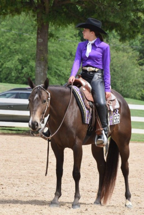 Visit Connie Wilson - Three Sisters Equestrian