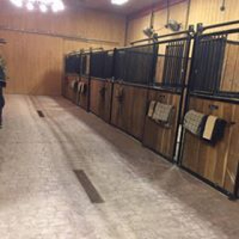 Visit Sergent Stables