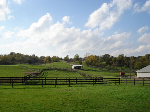 Visit Everview Farm