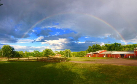 Visit Feather Hill Stables