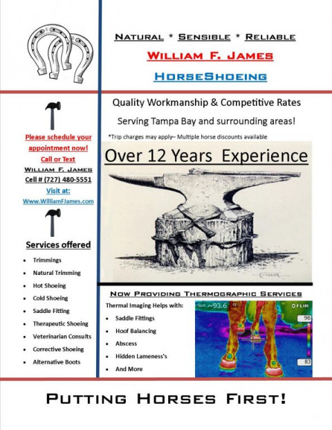 Farrier In Spring Hill Florida Hernando County