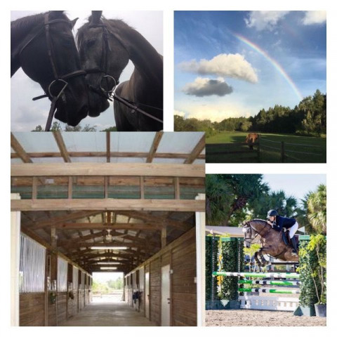 Visit Foxbrook Stables