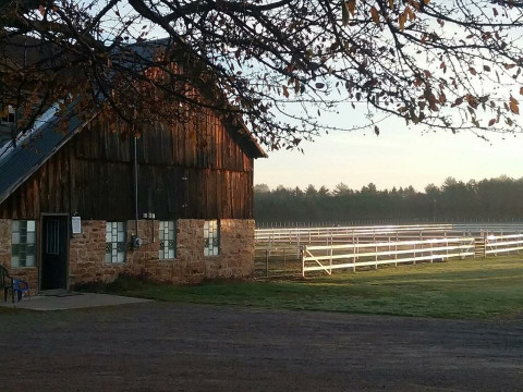 Visit Legacy Stables